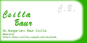 csilla baur business card